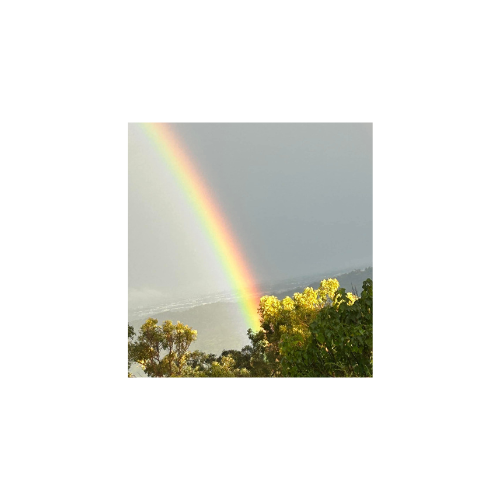 1. Reflections on the Rainbow🌈